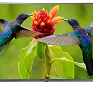 LG 43" Full HD Smart LED TV, Stunning Picture, Smarter Entertainment (LM56 Series)