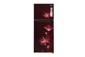 LG 260L Double Door Frost-Free Refrigerator – Ruby Glow