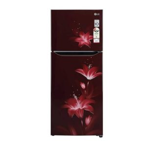 LG 260L Double Door Frost-Free Refrigerator – Ruby Glow