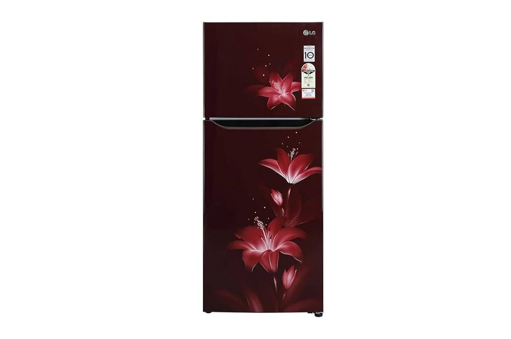 LG 260L Double Door Frost-Free Refrigerator – Ruby Glow